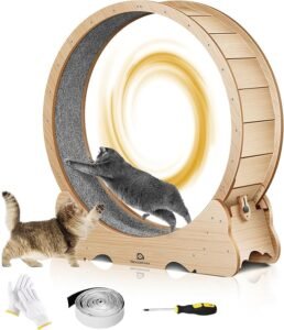 Powerful Large Cat Running Wheel – 43" Indoor Exercise Treadmill for Active Cats