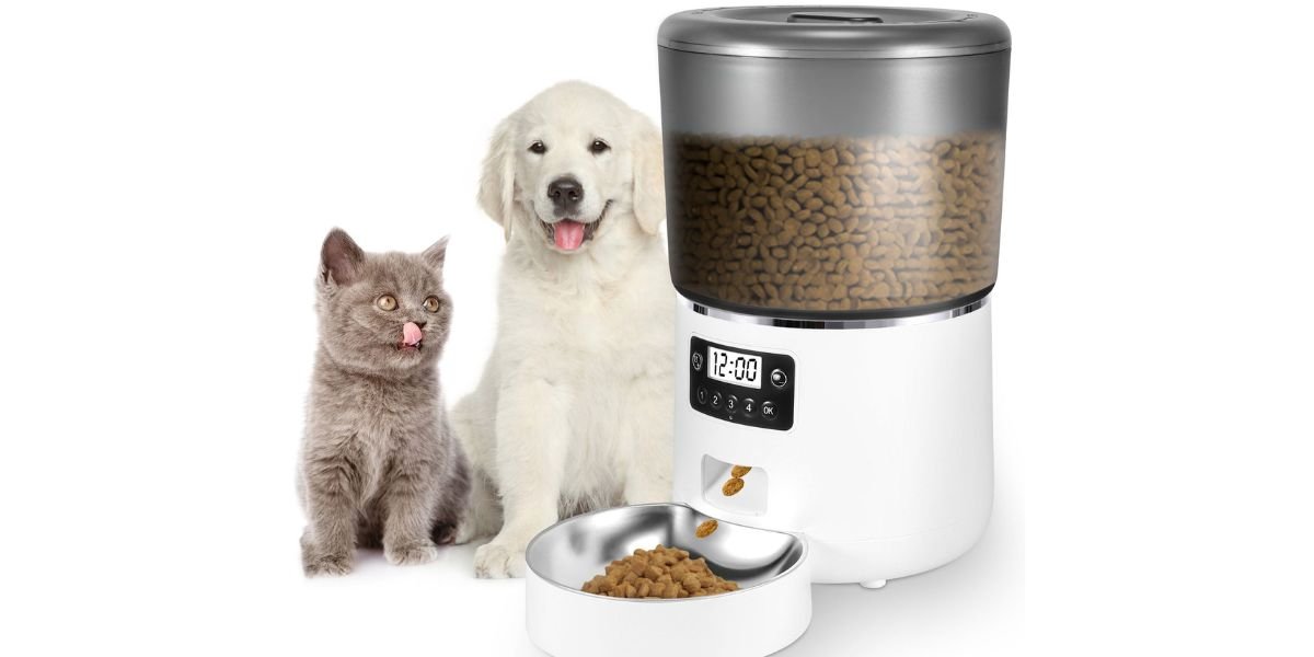 Feed Your Pet From Anywhere In The World
